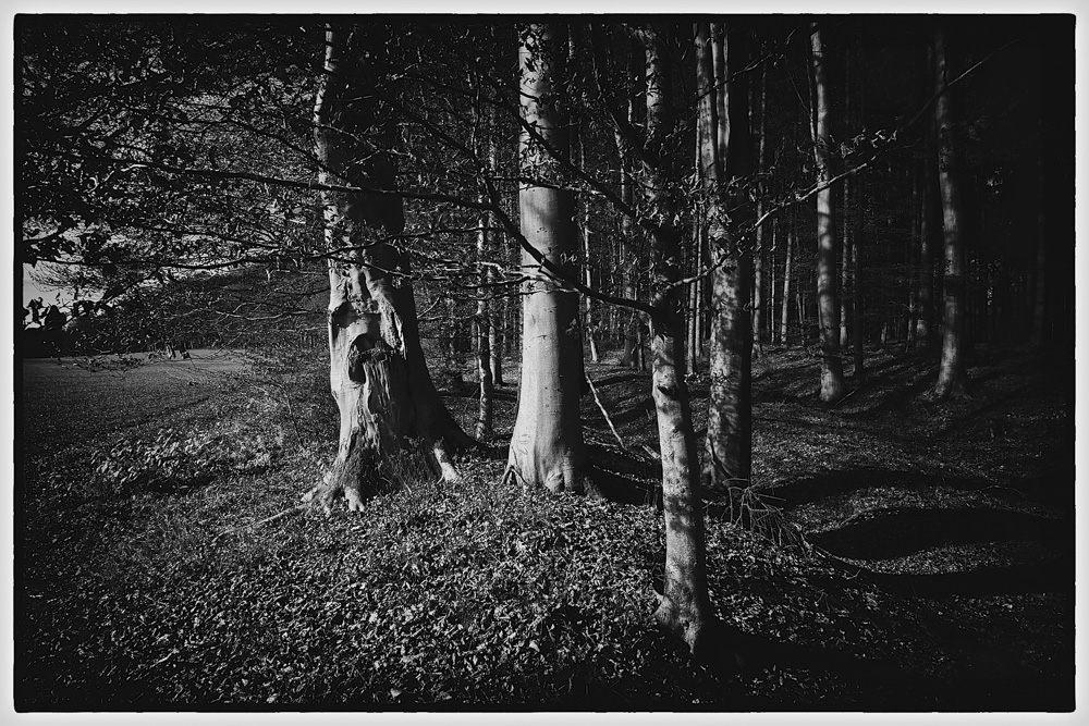 10. Platz Peter Marion